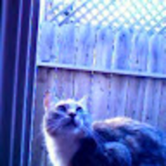 Meet your Posher, Caryl - Picture 1 of 1